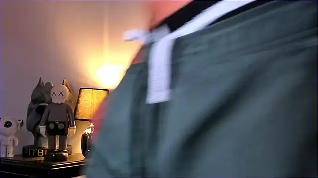 Snapshot of BradLeon_ chatting on 11.23.25 BradLeon online show from 11.23.25