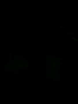 andreiwhite2  online show from 12.18.25