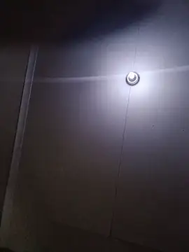 TheRiseOfDick online show from 07.05.26