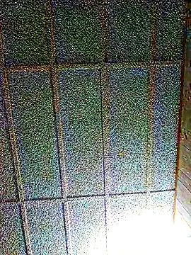 zaneporter46 online show from 03.01.25