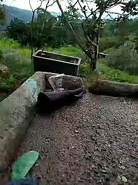 crazysex095 online show from 01.02.25