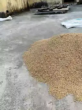 sweet suman online show from 01.18.25