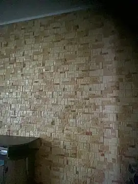 Prolisok473 online show from 02.28.25