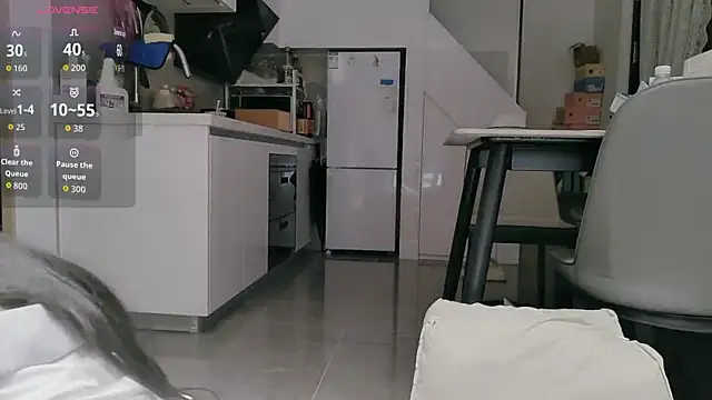 Snapshot of diandian-866 chatting on 02.12.26 diandian-866 online show from 02.12.26