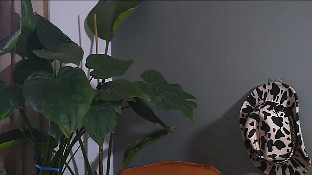 HairyRobxxx online show from 09.20.25