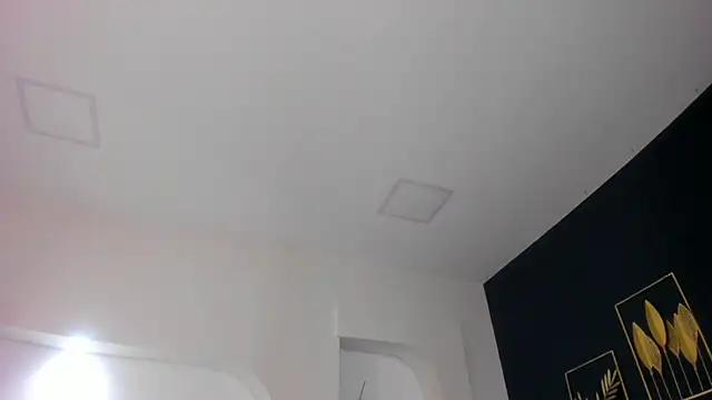 Snapshot of sara__jones_gh chatting on 11.26.25 sara jones gh online show from 11.26.25