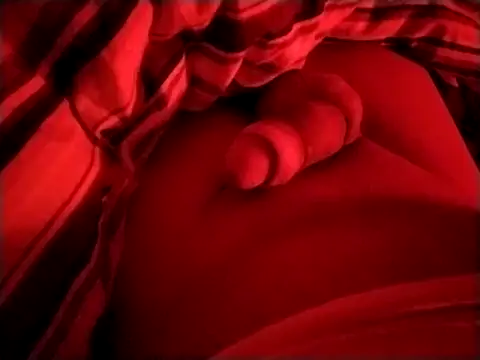 Gaditannus40 online show from 04.16.26