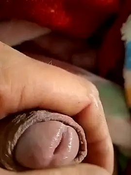 mmarvis za78 93 21cm online show from 02.09.25