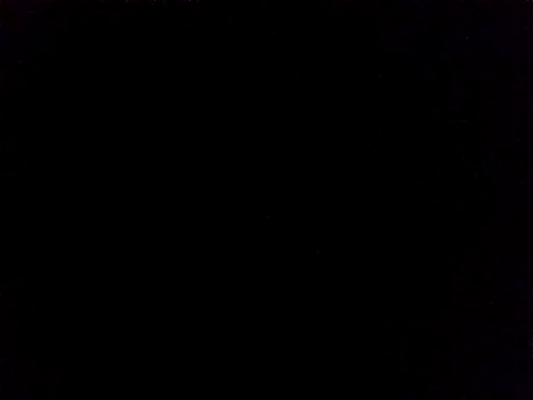 Snapshot of Lauren_Amabel chatting on 11.24.25 Lauren Amabel online show from 11.24.25