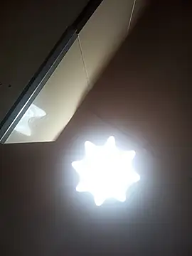 Lauren Amabel online show from 03.07.26