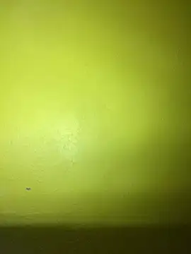 triplebeast online show from 02.02.25