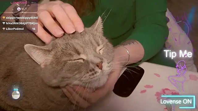 LesyaOxi online show from 01.11.25