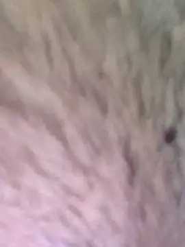 TOPMOON001 online show from 03.07.25