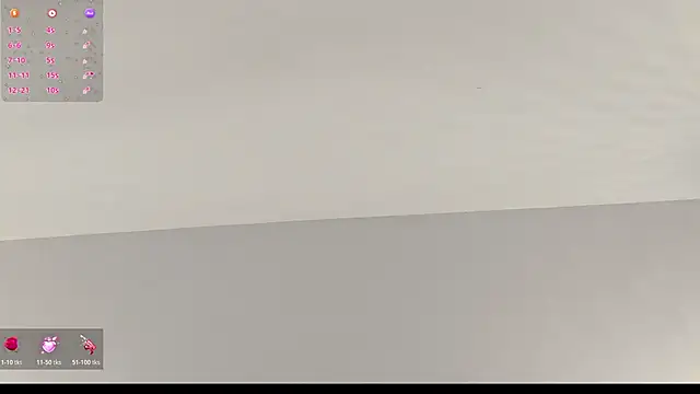 chelsea bolton  online show from 02.20.26