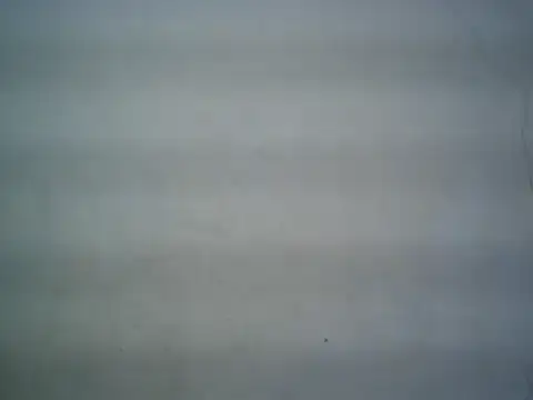 michel1520 online show from 06.11.26