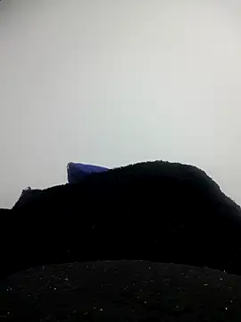 CHARLOTTE 1711 online show from 10.11.25