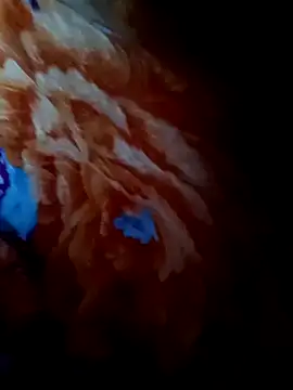 rameshjisex online show from 11.12.25