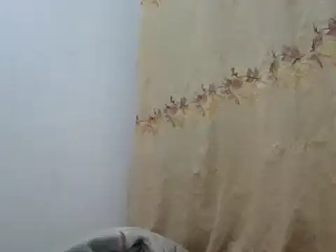 Sr JakoXXXX online show from 02.20.25