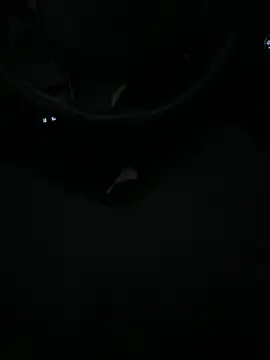 Snapshot of DutchPublic chatting on 01.19.25 DutchPublic online show from 01.19.25