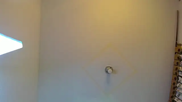 wandaliones online show from 02.28.25