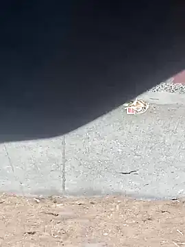 Snapshot of Jinenez chatting on 03.16.25 Jinenez online show from 03.16.25