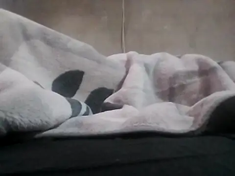 LaneYam online show from 04.02.26