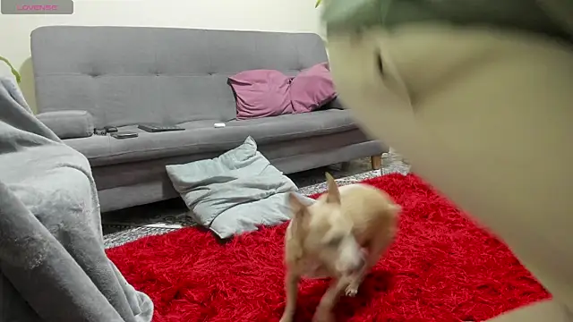 Salvatore costa online show from 09.19.25