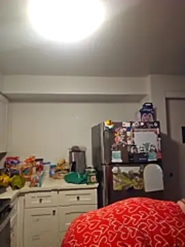 CorgiGodez98 online show from 04.12.26