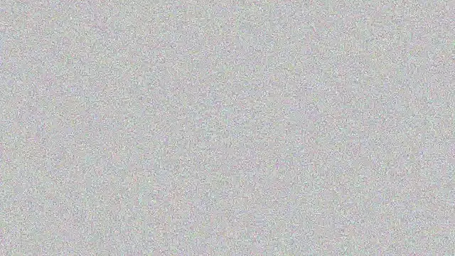 Snapshot of Elsa-bad chatting on 02.22.25 Elsa-bad online show from 02.22.25