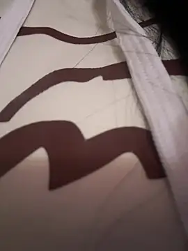 Snapshot of ValeriaOrtega chatting on 04.14.26 ValeriaOrtega online show from 04.14.26