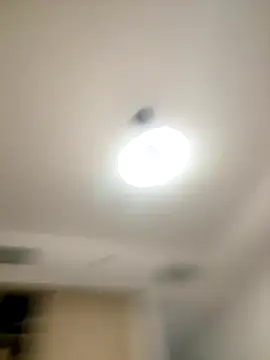 SexySophiaax online show from 10.20.25