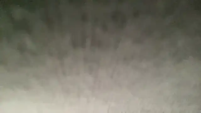 ryan 28747 online show from 11.01.25