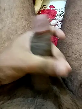 Snapshot of dicktatordaddy2 chatting on 01.24.25 dicktatordaddy2 online show from 01.24.25