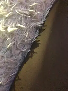 staroill online show from 02.20.25