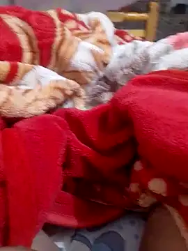 mhmia online show from 02.06.25