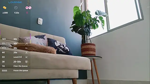 GerberaBlooms77 online show from 03.11.25