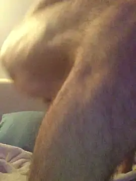 Pilote19 online show from 12.01.25