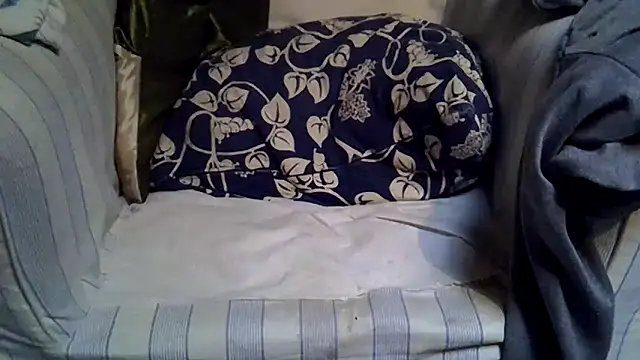 Snapshot of Damn_bro23 chatting on 11.24.25 Damn bro23 online show from 11.24.25