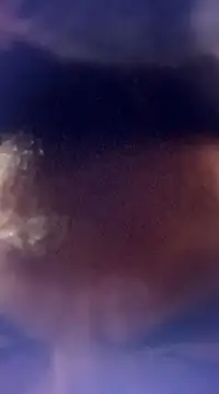 randit7 online show from 01.24.25