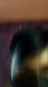 randit7 online show from 01.27.25