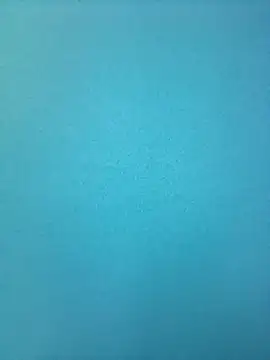 randit7 online show from 02.26.25