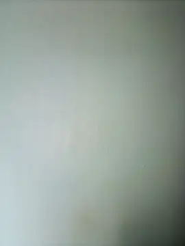 randit7 online show from 02.28.25