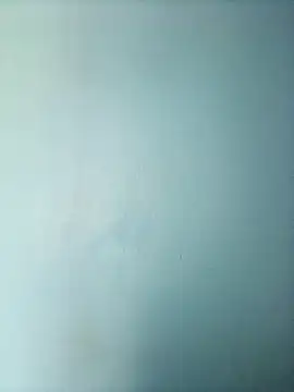 randit7 online show from 03.01.25