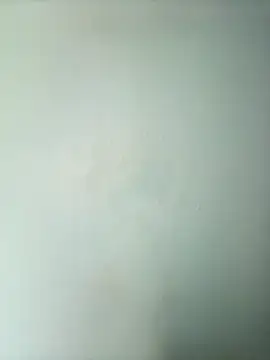 randit7 online show from 03.02.25