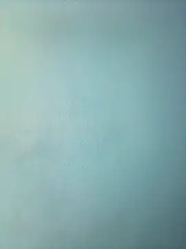 randit7 online show from 03.12.25