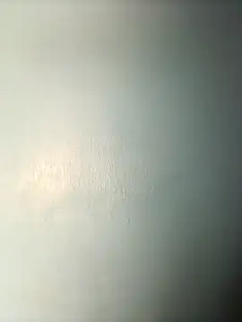 randit7 online show from 03.14.25