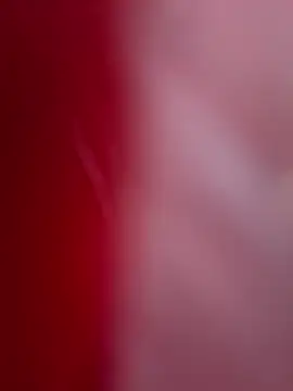 Snapshot of ALEXANDRA95 chatting on 02.11.25 ALEXANDRA95 online show from 02.11.25