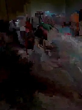 Ariba270 online show from 11.01.25