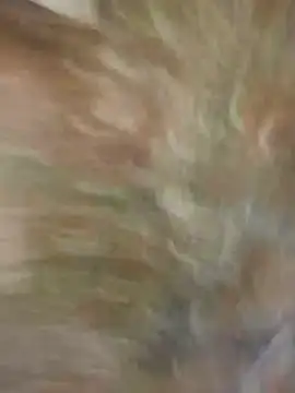 Santiago-Thompson online show from 01.26.25