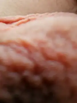 sersaki online show from 01.11.26